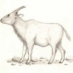 324