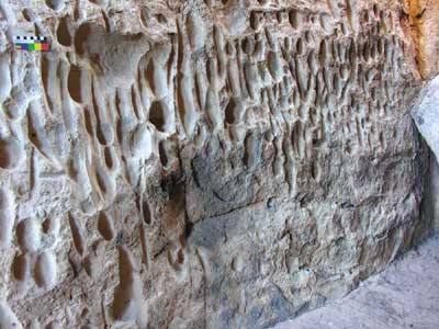 Ritual: Organised Activity Identified as World’s Oldest