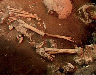 Earliest Remote Pacific Colonists Identified