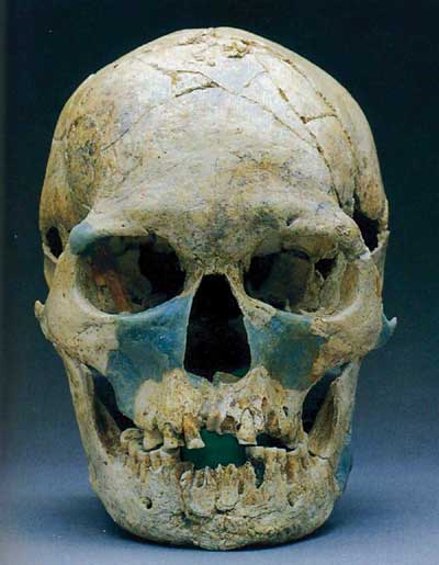 New Discoveries from Okinawa and the Ryukyu Archipelago