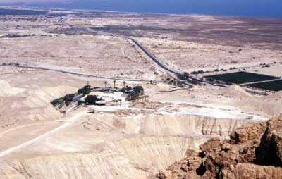 The Dead Sea scrolls