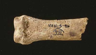 Gibraltar, Neanderthals