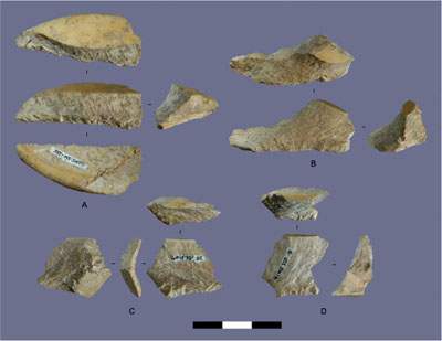 Shell Tools Rewrite Australasian Prehistory