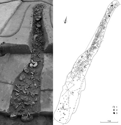 Neolithic, Grim Feast Found