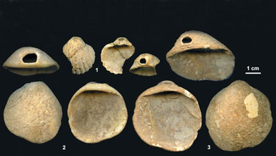Neanderthals Reveal True Colours
