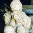 pompeii-figure