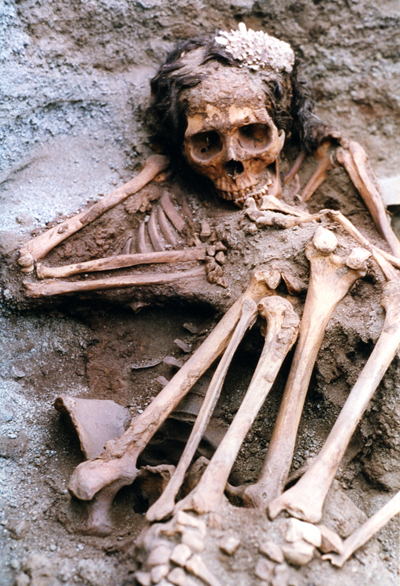 Incas under fire