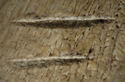 Tool use pushed back 1 million years