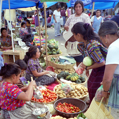 Mayan Economy