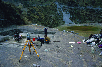 Inca civilisation founded on llama dung