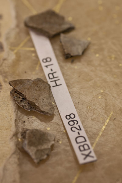 Alaska: Oldest subarctic North American human remains found