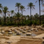 The remains of Bardak Siyah Palace
