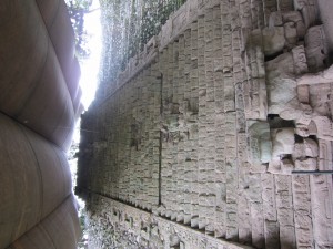 Copan August 2011 048