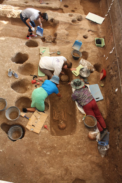 Charles Higham: notes from the field