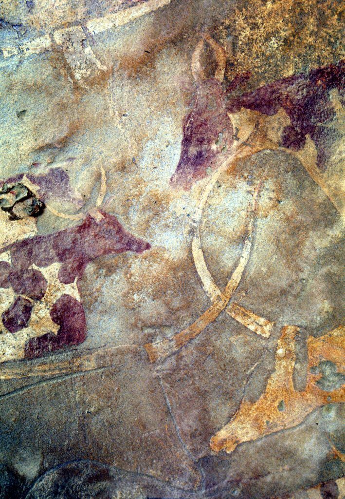Photo: Roberto Ceccacci, @ The Archaeological Mission in the Sahara, Sapienza University of Rome