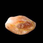 The tooth, with its beeswax filling. Bernardini F, Tuniz C, Coppa A, Mancini L, Dreossi D, et al. (2012) Beeswax as Dental Filling on a Neolithic Human Tooth. PLoS ONE 7(9): e44904. doi:10.1371/journal.pone.0044904
