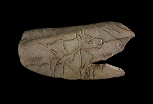 Fragment of decorated reindeer metatarsal (bone) engraved on the obverse surface with two reindeer, one of which is now incomplete; decorated bone; Palaeolithic; Madeleine, France; Copyright of The Trustees of the British Museum
