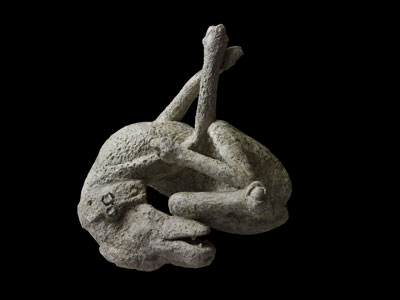 A plaster cast of a guard dog from the House of Orpheus in Pompeii - where the famous 'cave canem' mosaic (below, left) was also found.