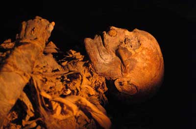 Hatshepsut Mummy - World Archaeology